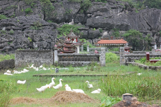 Ducks and ancestral worshiping tombs 